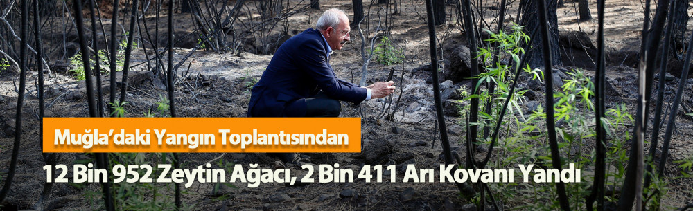 Muğla’daki Yangın Toplantısından: 12 Bin 952 Zeytin Ağacı, 2 Bin 411 Arı Kovanı Yandı