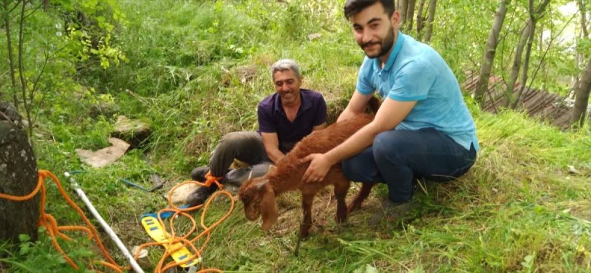 Tunceli'de kuyuya düşen oğlak kurtarıldı