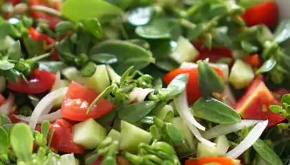 Ege'nin Serin Lezzeti: Semizotu Salatası Tarifi